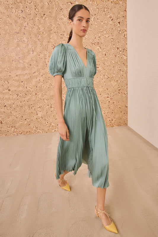 Audra Puff Sleeve Dress